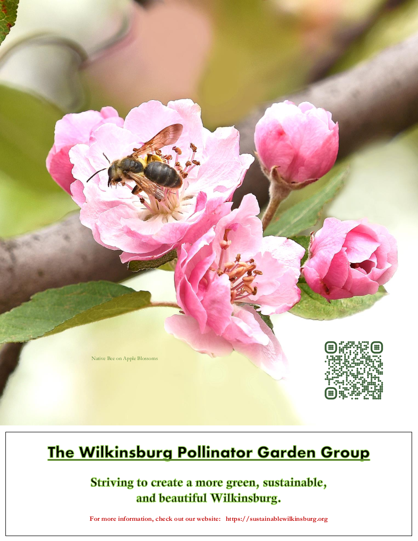 Pollinator Garden Group Table Sign with QR Code